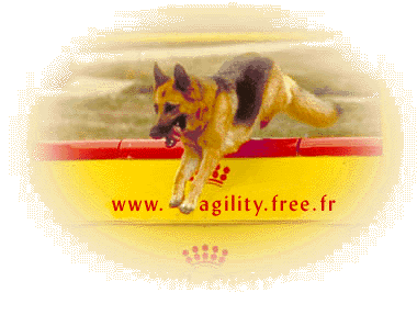 Agility